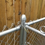 Spider on fence